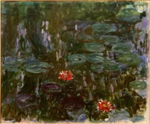 Lekníny, vrbové odlesky
